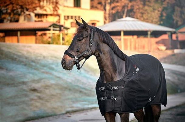 5 tips til den nyopstartede landmand eller dyreavler