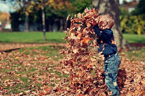 3 ting du kan lave med børnene i efterårsferien