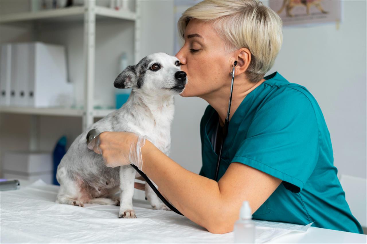 Acana hvalpefoder af højeste kvalitet på mypets.dk